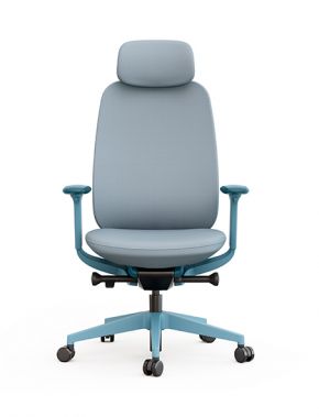 A Full-function Ergonomic Office Chair