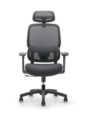 Double-back Design Mesh Chair with Knob-adjustable Lumbar Support