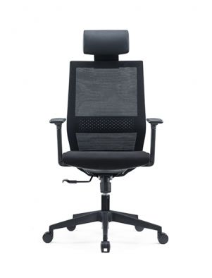 High Back Mesh Chair with Adjustable Armrests