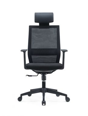 High Back Mesh Chair with Adjustable Armrests