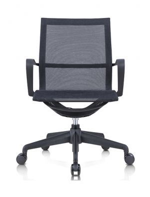 Extremely Cost-effective Mesh Chair