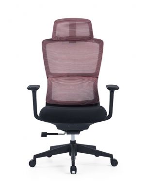 High-elastic Double Back, Designed for Sedentary Users