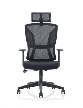 A Double Back Design Chair, Best Choice for Office Spaces!