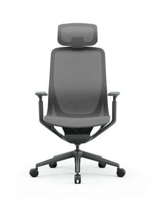 EAR Modern Office Mesh Chair